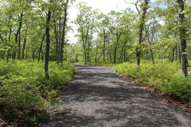 2 Marions Way, Chilmark, MA 02535 - photo 2