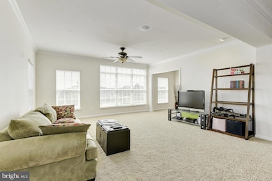 22783 Settlers Trail Terrace, Ashburn, VA 20148 - photo 6