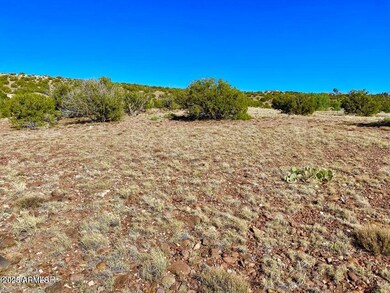 TBD Co Rd 5062 Lot 1 3 53 Acres --, Concho, AZ 85924 - photo 4