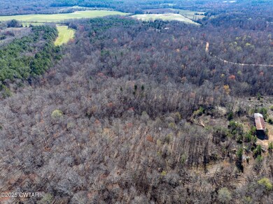 0 Chester Quinn Ln, Parsons, TN 38363 - photo 4