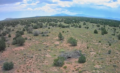 N Spruce Rd, Valle, AZ 86046 - photo 2