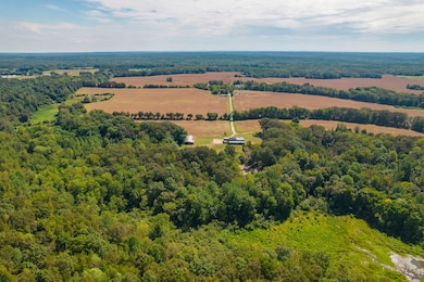 290 Leeford Ln, Cedar Grove, TN 38321 - photo 6