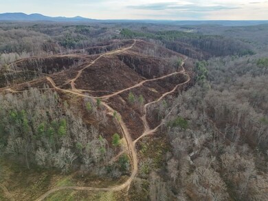 0 Skull Creek Rd unit LotWP001 22921951, Robbins, TN 37852 - photo 3