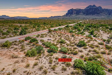 Starr Aerial-Lot Outline Lot 2 1.25