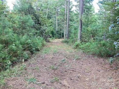 00 Scenic Ln unit 186, Granite Falls, NC 28630 - photo 6