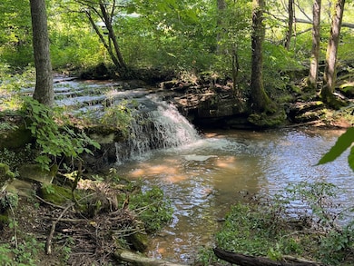 Mystic Rd, Edmonton, KY 42129 - photo 4