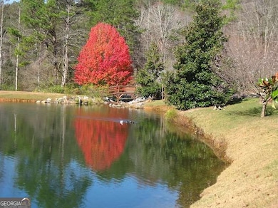 LOT 223 Bowline Dr unit 223, Ellijay, GA 30540 - photo 5