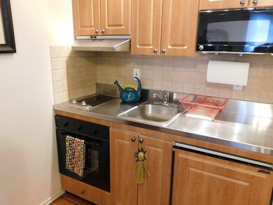 70 Cushing St unit 1, Cambridge, MA 02138 - photo 3