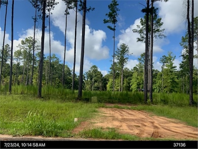 5606 Oak Borough Ln, Albany, GA 31721 - photo 6