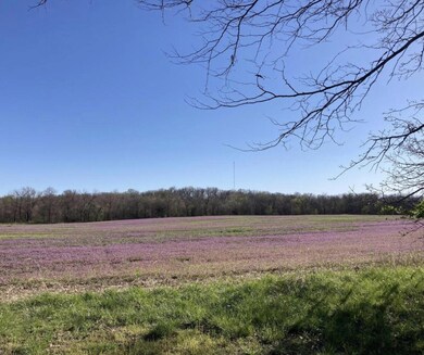 TRACT 3 E Sugar Grove Rd, Columbia, MO 65201 - photo 6