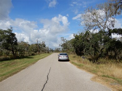 808 County Road 388c, Brazoria, TX 77422 - photo 6