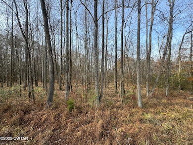 Lot 5 Matlock Dr, Chapmansboro, TN 37166 - photo 7