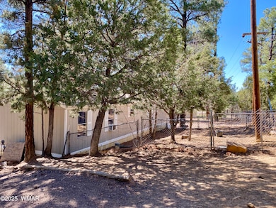 640 S Clark Rd, Show Low, AZ 85901 - photo 3