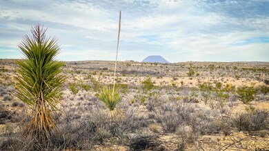4500, Terlingua, TX 79852 - photo 4