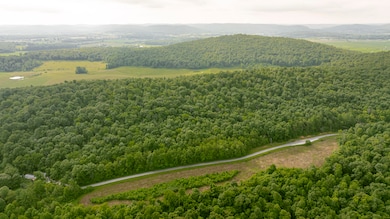 003 Sally Burnett Rd, Monticello, KY 42633 - photo 2