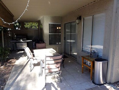 back-patio