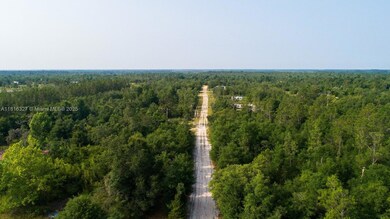 0 NW Lakeview Rd unit A11816327, Altha, FL 32421 - photo 6