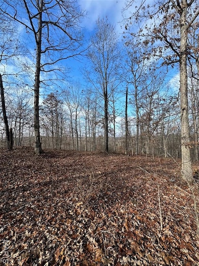 TBD County Road 118, Annapolis, MO 63620 - photo 3