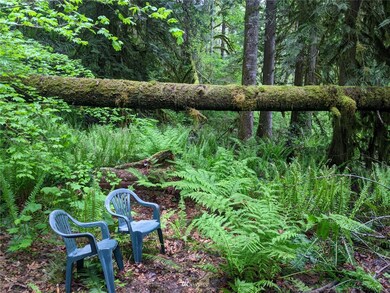 0 Lookout Mountain Loop unit 1-167 NWM1961616, Marblemount, WA 98267 - photo 3