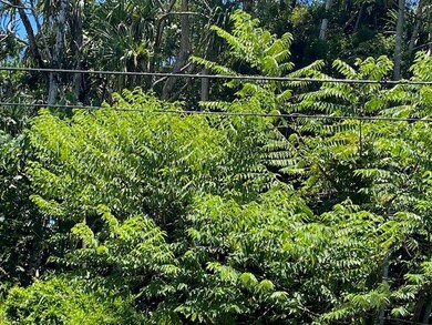 15-174 Puni Lapa Loop N, Hawaiian Beaches, HI 96778 - photo 7