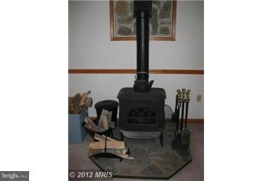 370 Coyote Run Rd, Mathias, WV 26812 - photo 5