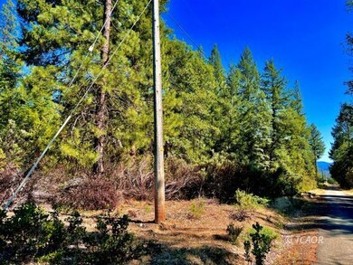 291 Oliva Dr, Hayfork, CA 96041 - photo 6