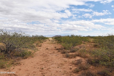 4 Lots Unnamed Rd unit 456, Cochise, AZ 85606 - photo 6