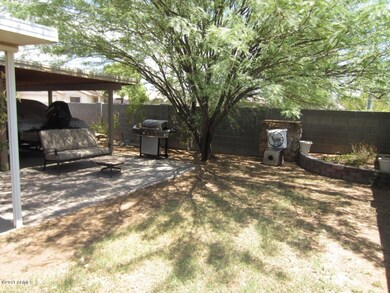 Backyard 3
