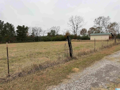 325 Washington Ave, Wellington, AL 36279 - photo 7