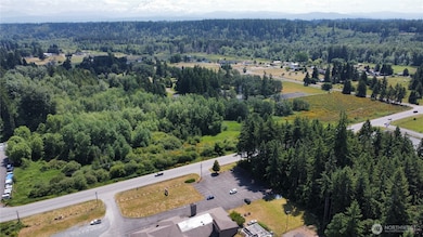 26527 Mountain Hwy E, Spanaway, WA 98387 - photo 6