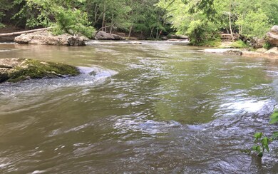 Additional View