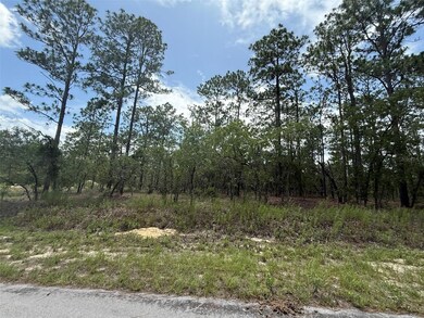 0 NW Tree Top Rd unit MFROK225311, Dunnellon, FL 34431 - photo 4