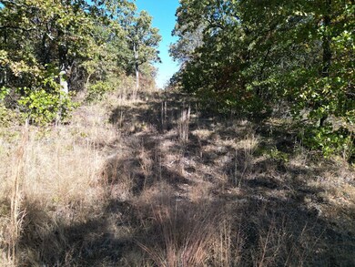 19850 Milfay Rd, Depew, OK 74028 - photo 7