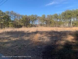 1860 Baltimore Ave, Whiting, NJ 08759 - photo 2