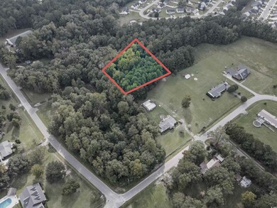 00 West Rd, Conway, SC 29527 - photo 4