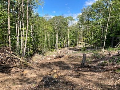 0 Old Carr Rd unit 20 4925108, Antrim, NH 03440 - photo 4