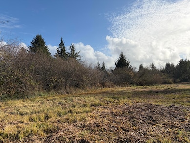 TL#2400 Alderbrook Rd, Tillamook, OR 97141 - photo 3