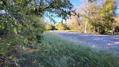 21029 Trailwood Dr, Whitney, TX 76692 - photo 4