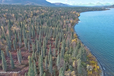 L1B1 Grizzly Rd, Aleknagik, AK 99555 - photo 6