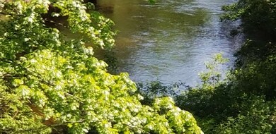 0 Battle St unit 70 4760510, Webster, NH 03303 - photo 6