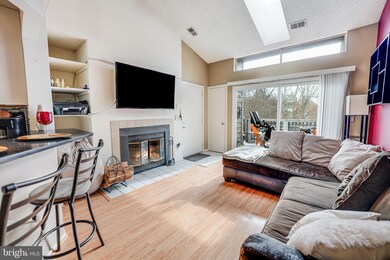 11741 Summerchase Cir unit 1741-B, Reston, VA 20194 - photo 7