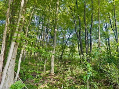 0 Tool House Rd, Cranberry Township, PA 16346 - photo 4