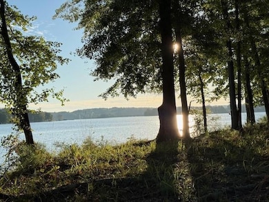 1130 Dockside Dr, Buckhead, GA 30625 - photo 2