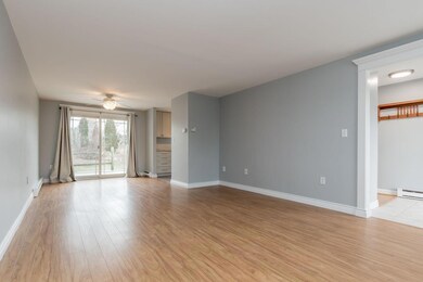 6.5 front to back living area