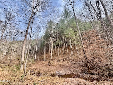 TBD Yellow Branch Rd, Rose Hill, VA 24281 - photo 7