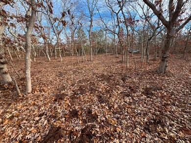 36 Boylston Dr unit 1.329, Edgartown, MA 02539 - photo 5