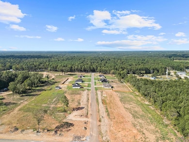 Overview of rural landscape featuring a heavily wooded area