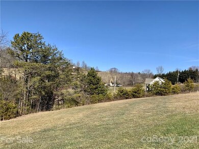 25 Alexander Ridge Dr, Leicester, NC 28748 - photo 5