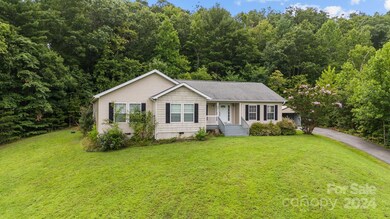 44 Slick Rock Rd, Leicester, NC 28748 - photo 4