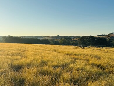 unlisted-address, Blanco, TX 78606 - photo 3